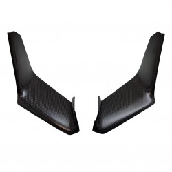 Ducati Panigale V4 Front Nose Fairing Covers