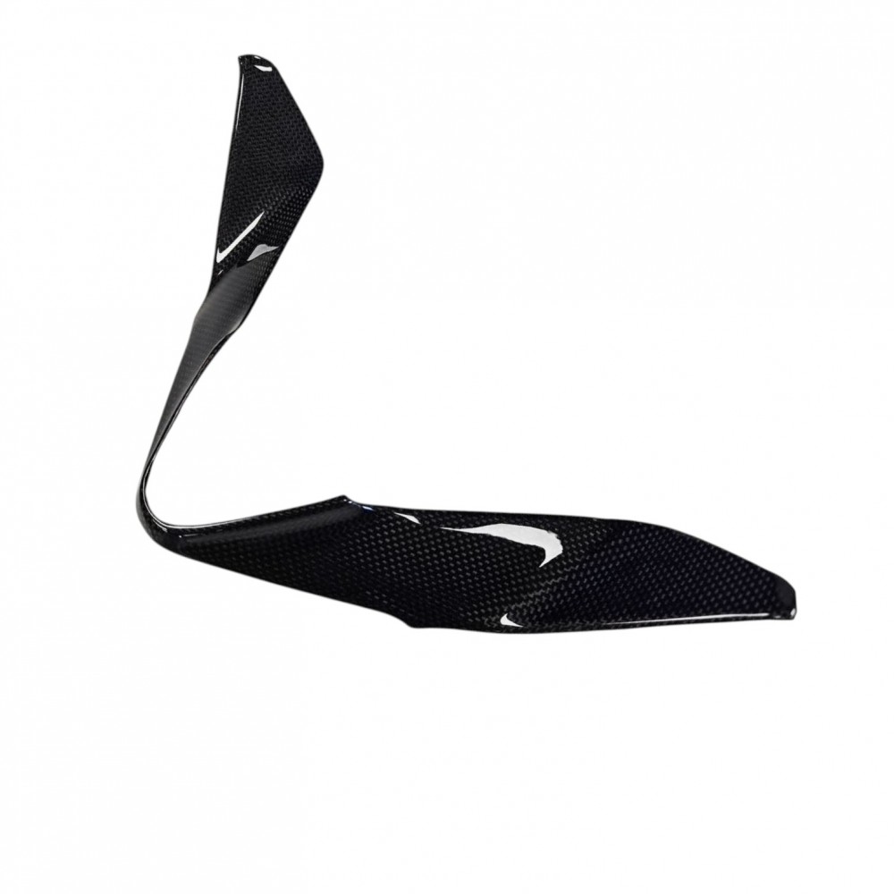Ducati Panigale 1299/959 Front Nose Fairing Cover
