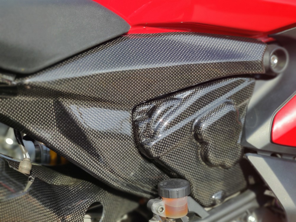 Ducati Panigale Frame Side Panels