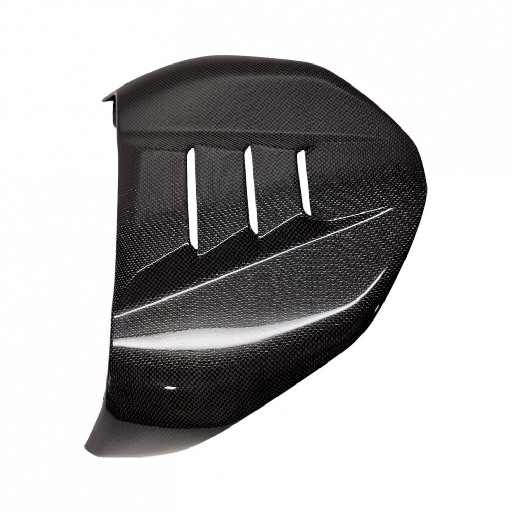 Ducati Diavel V4 Rear Seat Tail Cover Custom