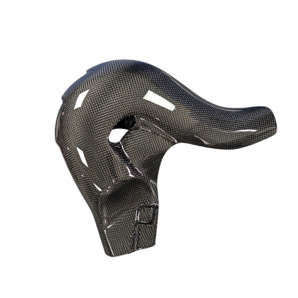 Ducati Panigale V4/Streetfighter V4 Carbon Fiber Exhaust Cover