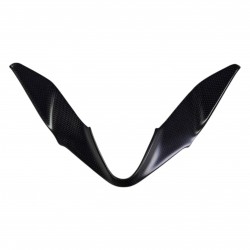 Ducati Panigale 1299/959 Front Nose Fairing Cover