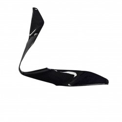 Ducati Panigale 1299/959 Front Nose Fairing Cover