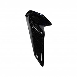Ducati Panigale V4/Streetfighter V4 Rear Sprocket Chain Guard Cover 2021-2024