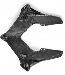 Ducati Panigale V4 Front Fairing Cowl Nose Cover