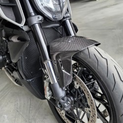 Ducati Diavel V4 Front Fender Custom
