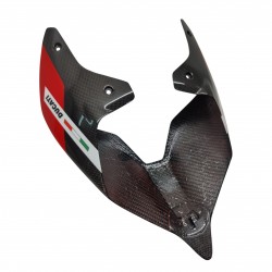 Ducati Panigale V4/Streetfighter V4/Panigale V2 Rear Solo Seat Cover Superleggera Custom Painted