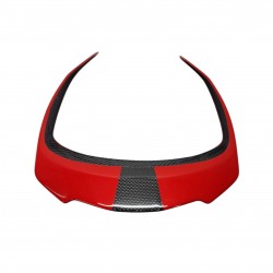 Ducati Diavel 1260 Rear Seat Tail Cover Custom Painted