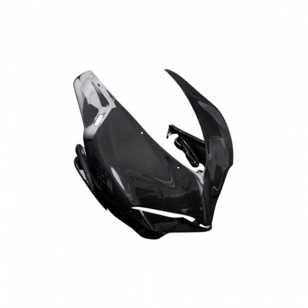 Ducati Panigale 1299/959 Front Fairing Cowl Nose Cover