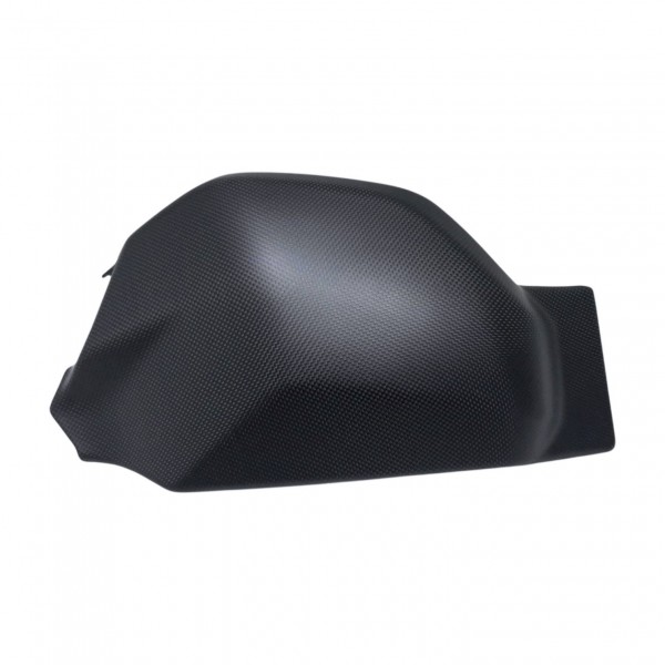 Ducati Panigale V4/Streetfighter V4 Swingarm Cover